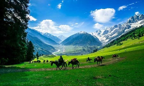 Day 4: Sonamarg Local Sightseeing Day 4: Sonamarg Local Sightseeing